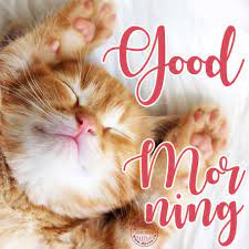 Check spelling or type a new query. Good Morning Card With A Cute Cat Download On Funimada Com