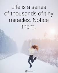 Life Is A Series Of Thousands Of Tiny Miracles Power Of Positivity On Instagram Double Tap If You Agree Life S A Series Of Thousands Of Tiny Mir Power Of Positivity Quotes By Famous People Tiny Miracles