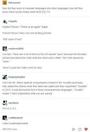 Pin By Shruti Mehta On Random Lovely Things Fun Facts Tumblr Funny Humor