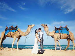 Deep inside i've always been reaching out for a hand, so don't let this be the end mushrooms growing on my head still remember even then where you are when i'm. Camel Ride Bali On The Beach With Photo Session Wandernesia