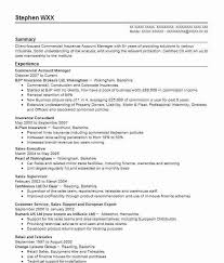 Check out our car salesman resume sample and template! Dj Cv Example Mannifest Ordsall Salford Cv Design Template Cv Template Downloadable Resume Template