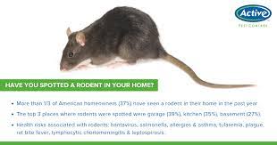 Pest control pest control owltra household smart pest control reusable safe mouse mouse trap. Active Pest Control Home Facebook