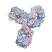 Fda does not require fda approval for all types of products. Pembrolizumab Wikipedia