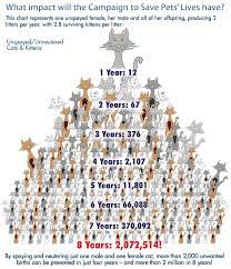 10.2 surviving kittens of which 4.7 are female the average litter size is 4 kittens with 15% loss before reaching weaning age (3.4 kittens per litter) How Many Kittens Can A Cat Have Petfinder