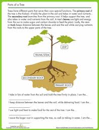 Tree Parts Worksheet Education Com Tree Earth Day Education Com