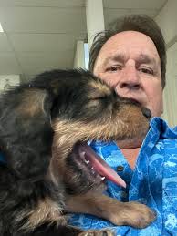 How has your hound trained you?