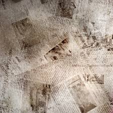 Полный кард турнира ufc 257. Makgregor Rasskazal Kak Gotovitsya K Revanshu S Pore