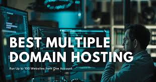 Multiple Domain Hosting: How Many Sites Can You Host in One Account?