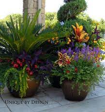 Unique By Design L Helen Weis Container Gardening Container Flowers Plants