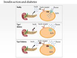 96554516 style medical 2 immune 1 piece powerpoint