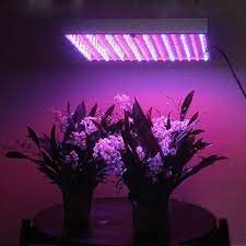 How Does Artificial Light Affect Plant Growth Ehow Best Led Grow Lights Grow Light Bulbs Led Grow Lights
