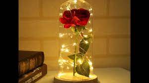 Concernant la forme, il y a d'abord les roses éternelles en soie dont la différence elles sont lovées dans des boules en verre qui peuvent être lumineuses ou non. Rose Eternelle Sous Cloche Lumineuse Rouge Rose En Beaute
