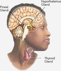 Pin On Kemit Third Eye