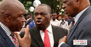 Discours du général sb moyo à la nation du zimbabwe. S B Moyo At The Top To Succeed Mnangagwa