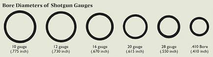 Shotgun Gauge And Shot Size