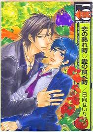 Libre Publishing BBC Hinata Sayuri When ripe for love ・ eating love |  MANDARAKE 在线商店