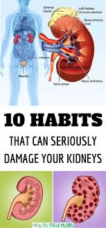Some Common Symptoms Of Kidney Problems Are Changes To Your Urine Coldness And Fatigue Itchy Skin Dizziness And Bad Breath Treatment Kidney Symptoms Health
