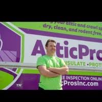 20+ "Leonard Mol" profiles