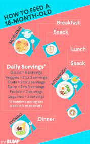 Check spelling or type a new query. 18 Month Old Development Milestones Toddler Month By Month