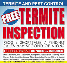 Termites are very prevalent throughout the phoenix area. Contact Us Bell Termite Control Inc