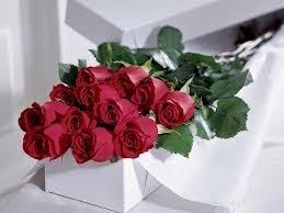 Learn more about florists in fairfield on the knot. Roses From Blossoms At Dailey S Flower Shop Your Local Fairfield Ct Florist F