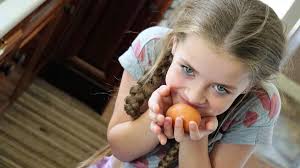 In Search of Santa Claus: an Ashley Petunia Story/Poem