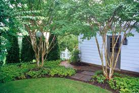 Pin On Garden In The Shade