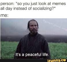 Person So You Just Look At Memes All Day Instead Of Socializing Me It S A Peaceful Life Ifunny Memes Star Wars Memes Work Quotes Funny