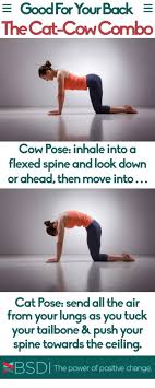 The cat and cow poses are simple and provide great benefits, including opening the lungs for better breathing. the name of the cow pose, bitilasana, comes from bitil meaning cow and asana meaning posture. Good For Your Back The Cat Cow Combo
