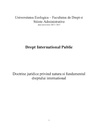 Şi a unor măsuri preventive adecvate, subliniind că, corupţia constituie o ameninţare la adresa principiilor statului de drept, democraţiei şi drepturilor omului, subminează principiile bunei administrări, echităţii şi justiţiei sociale, denaturează concurenţa, împiedică dezvoltarea economică şi. Pdf Drept International Public Sc Creative Srl Academia Edu