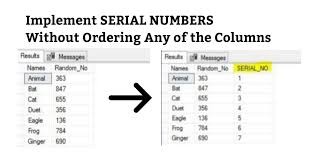 Generate Row Serial Numbers In Sql Query Stack Overflow
