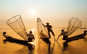 There are 206 days left in the year. World Oceans Day 2021 The Ocean Innovation Challenge Oic Undp