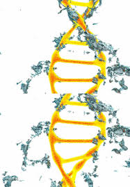 In absolute numbers, more people die in road accidents in india than in any other country. Dna Structure Alphabet Soup For The Cellular Soul Intechopen