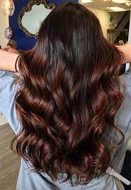 Platinum blonde highlights on tips pair best with brown auburn hair. 55 Auburn Hair Color Shades To Burn For Auburn Hair Dye Tips Glowsly