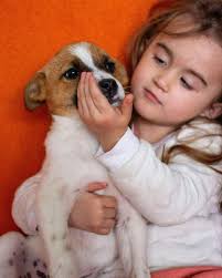 Alina's Hundehilfe added a new photo.