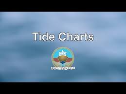 Videos Matching How To Catch More Fish With Using Tide Table