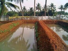 7 Cara Budidaya Ikan Gabus Yang Mudah Bagi Pemula Ilmubudidaya Com