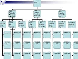 pepsi vanilla the organizational structure of pepsico