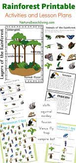 The Best Rainforest Printable Activities For Kids Natural Beach Living Rainforest Activities Printable Activities For Kids Rainforest Animals
