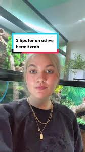 How to Remove Hermet Crab from Shell