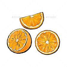 Set Of Oranges Orange Art Fruit Illustration Fruits Drawing