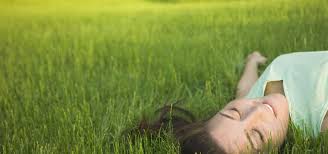 Eco green checks these boxes with organic lawn dressing op. Natural Lawn Care Near Charlotte Nc Organic Lawn Pest Services Naturalawn Of America Inc