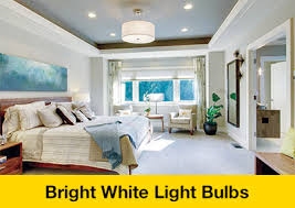Light Bulbs