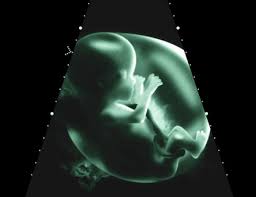 Ctg herzschlag anhanger mit kette vom baby secret garden. Babys Im Mutterleib Was Tut Ihnen Gut Was Schadet Ihnen Vaterfreuden De Die Seite Fur Vater
