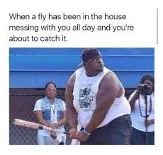 Torrent Downloads Download Free Torrents Overwatch Funny Memes Overwatch Memes