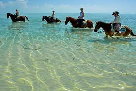 Turks And Caicos Attractions Horseback Riding In The Frothy Grand Turk Surf Beaches In The World Beautiful Beaches Most Beautiful Beaches