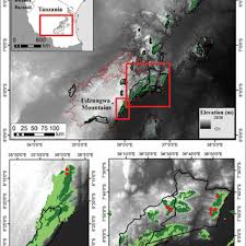 Image result for Polyceratocarpus