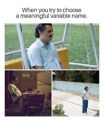 Hilarious Programming Joke Relatable Programmer Joke Programmer Humor Programmer Gag Programming Humor Programmer Jokes Programmer Humor