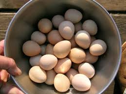 Oua de prepelita pentru consum si tratament 0, 30 ron/buc oua de prepelita pentru incubat 0, 60 ron/buc. Bibilica Avantajele Si Dezavantajele Cresterii Rase