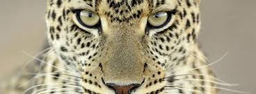 See actions taken by the people who manage and post content. Poze Frumoase De Coperta Pocetna Facebook